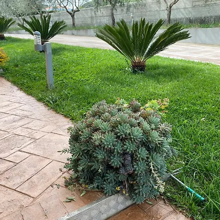 Miro' Alojamento de Acomodação e Pequeno-almoço